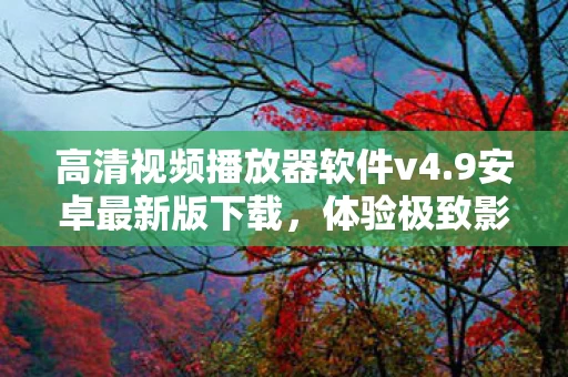 高清视频播放器软件v4图片
