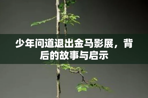 少年问道退出金马影展图片