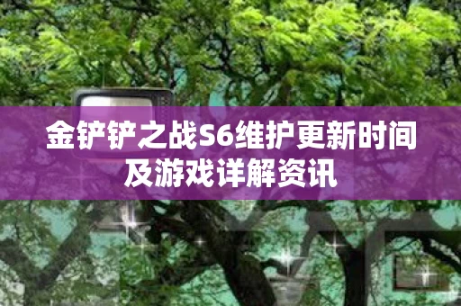 金铲铲之战S6维护更新时间及游戏详解资讯图片