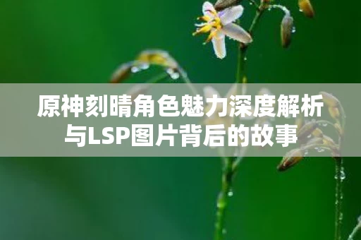 原神刻晴角色魅力深度解析与LSP图片背后的故事图片