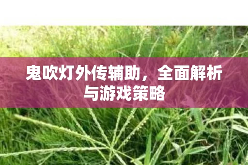 全面解析与游戏策略图片