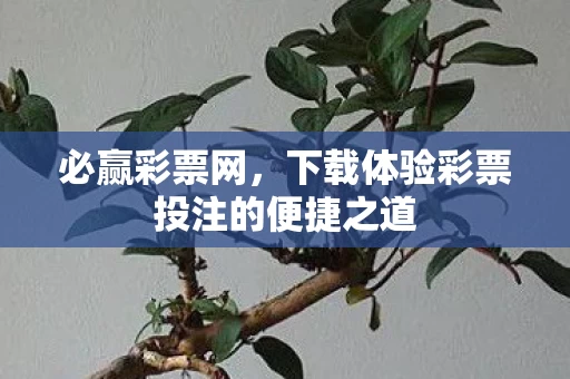 下载体验彩票投注的便捷之道图片
