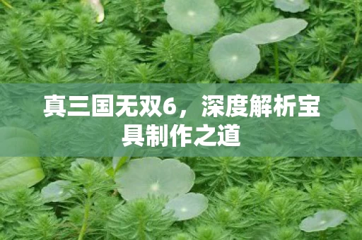 深度解析宝具制作之道图片