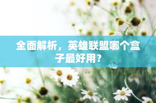 英雄联盟哪个盒子最好用图片