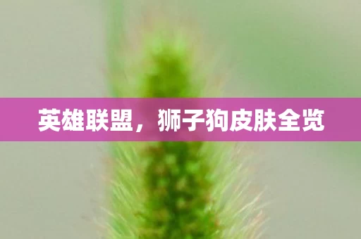 狮子狗皮肤全览图片