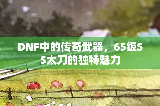 65级SS太刀的独特魅力图片