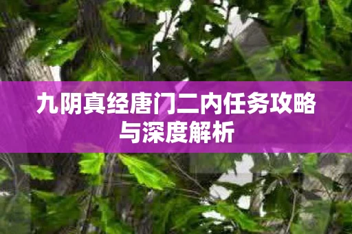 九阴真经唐门二内任务攻略与深度解析图片