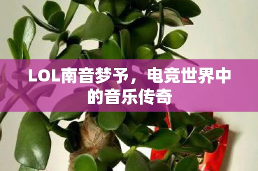 电竞世界中的音乐传奇图片