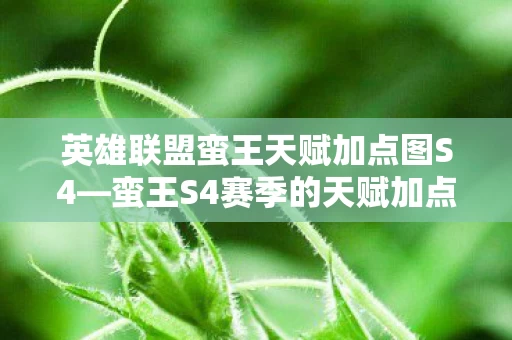 英雄联盟蛮王天赋加点图S4图片