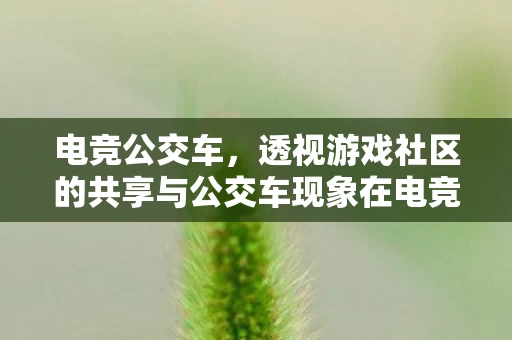 透视游戏社区的共享与公交车现象在电竞领域图片