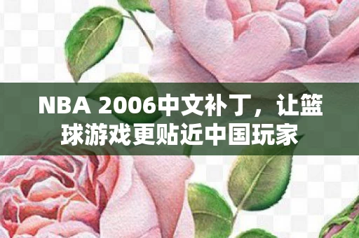 NBA 2006中文补丁图片