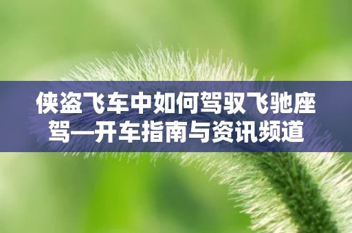 侠盗飞车中如何驾驭飞驰座驾图片