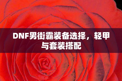 DNF男街霸装备选择图片