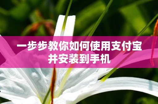 一步步教你如何使用支付宝并安装到手机图片