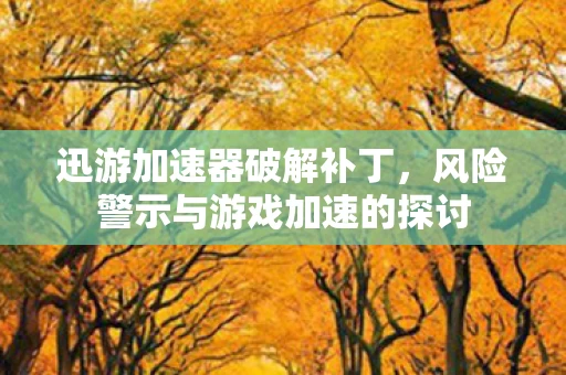 风险警示与游戏加速的探讨图片