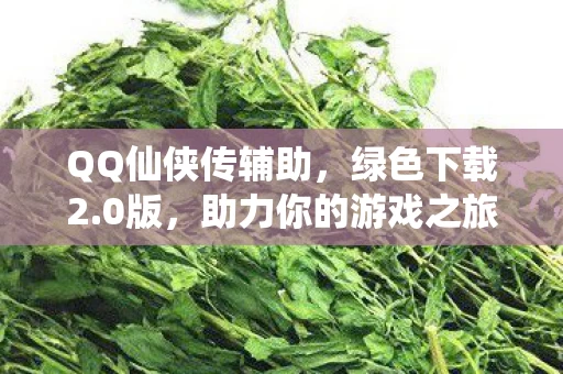 助力你的游戏之旅图片
