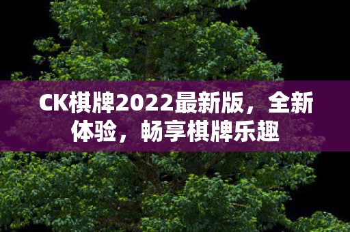 CK棋牌2022最新版图片
