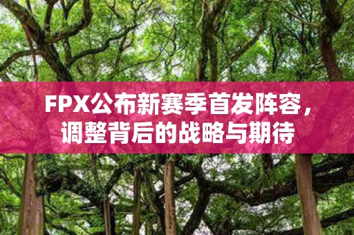 FPX公布新赛季首发阵容图片