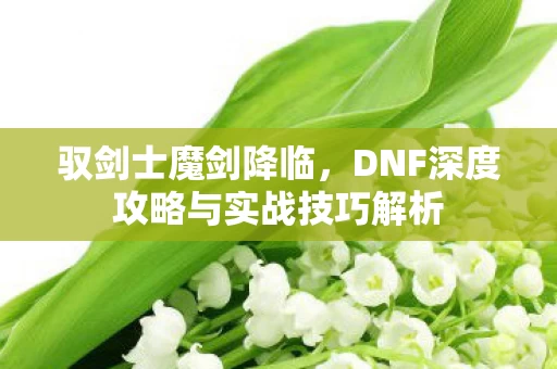 DNF深度攻略与实战技巧解析图片