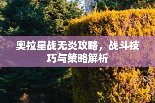 战斗技巧与策略解析图片