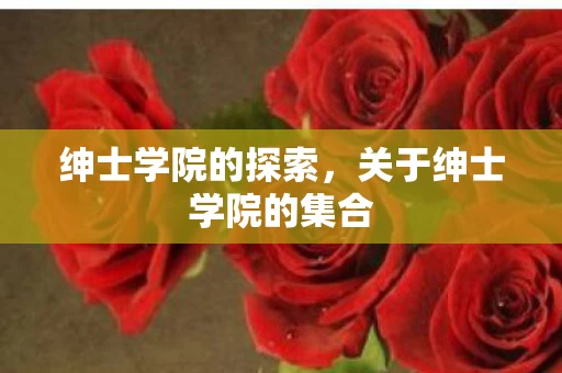 关于绅士学院的集合图片