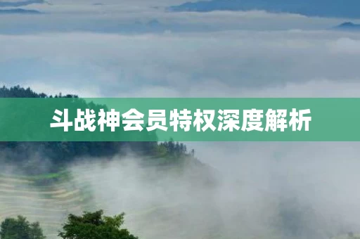 斗战神会员特权深度解析图片