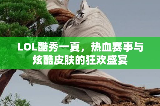 热血赛事与炫酷皮肤的狂欢盛宴图片