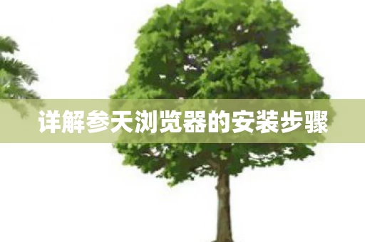 详解参天浏览器的安装步骤图片