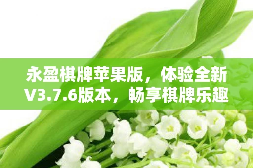 永盈棋牌苹果版图片