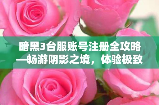 暗黑3台服账号注册全攻略图片