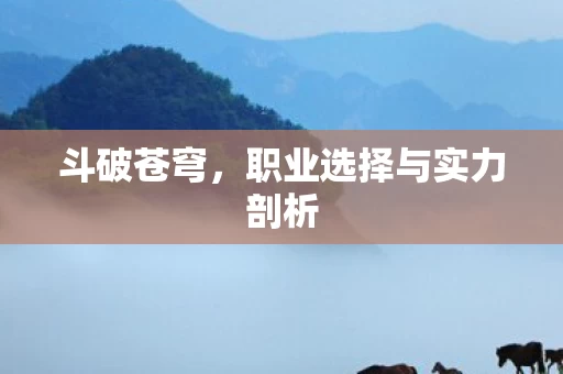 职业选择与实力剖析图片