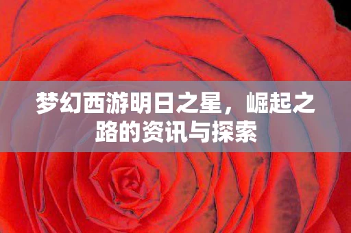 崛起之路的资讯与探索图片