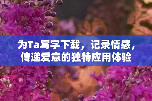 传递爱意的独特应用体验图片