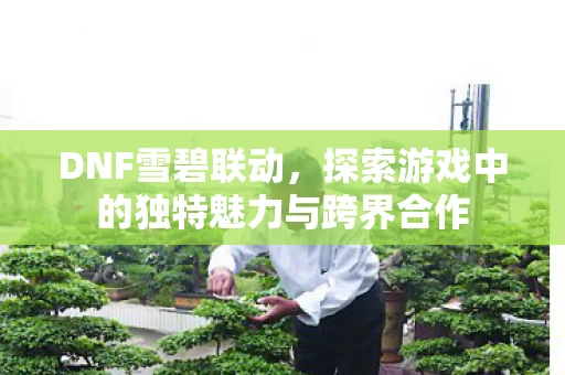 探索游戏中的独特魅力与跨界合作图片