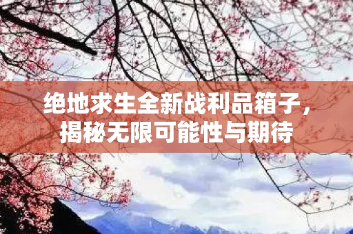 绝地求生全新战利品箱子图片