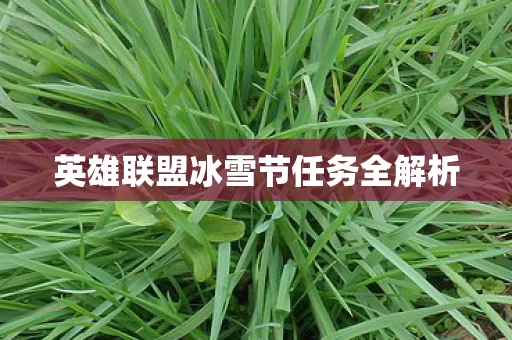 英雄联盟冰雪节任务全解析图片