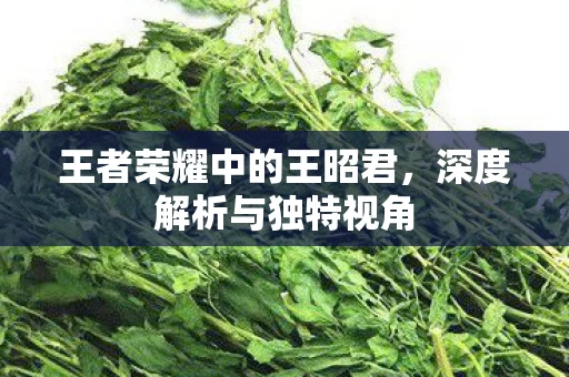 王者荣耀中的王昭君图片
