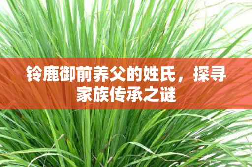 铃鹿御前养父的姓氏图片