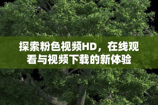 在线观看与视频下载的新体验图片