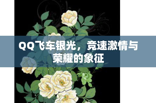 竞速激情与荣耀的象征图片