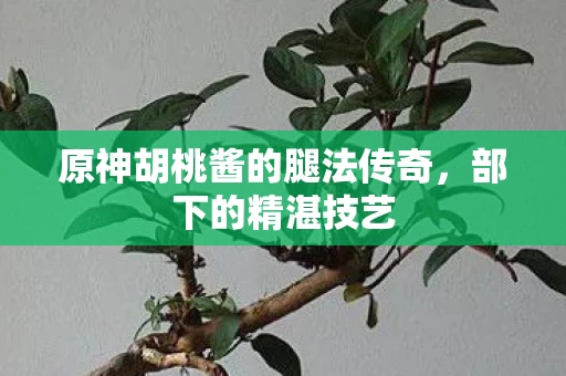 原神胡桃酱的腿法传奇图片