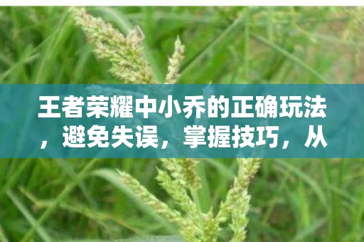 王者荣耀中小乔的正确玩法图片