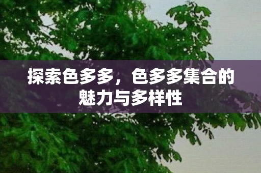 色多多集合的魅力与多样性图片
