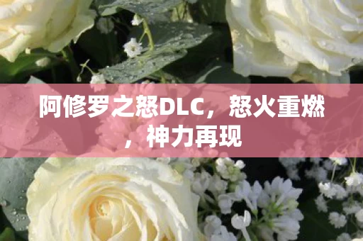 阿修罗之怒DLC图片
