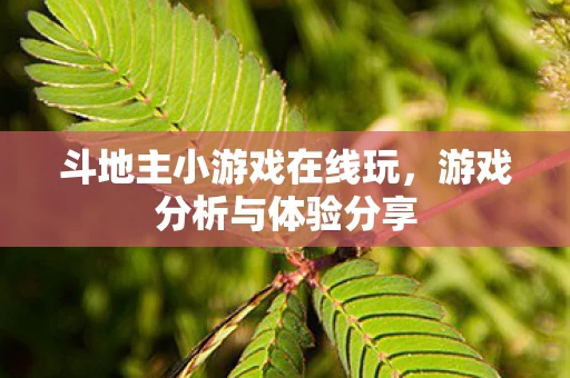 斗地主小游戏在线玩图片