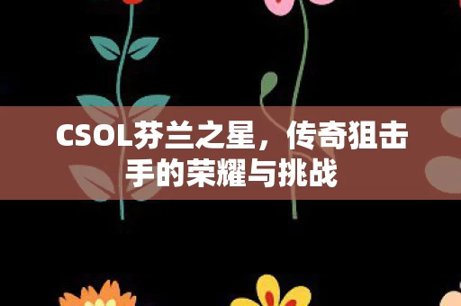 传奇狙击手的荣耀与挑战图片