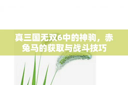 赤兔马的获取与战斗技巧图片