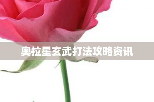 奥拉星玄武打法攻略资讯图片