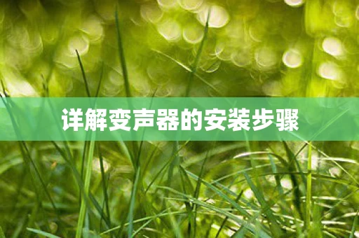 详解变声器的安装步骤图片