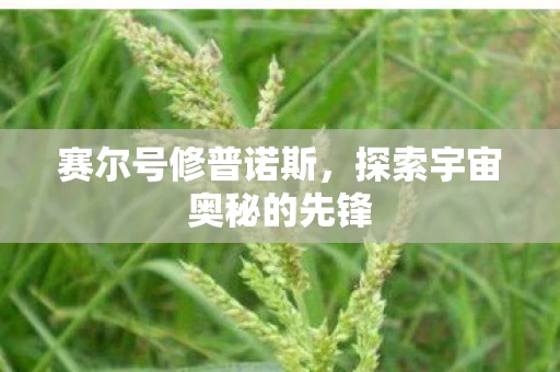 探索宇宙奥秘的先锋图片